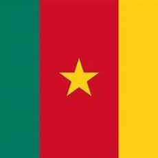 service parent category