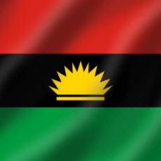 service parent category