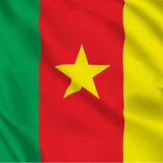 service parent category