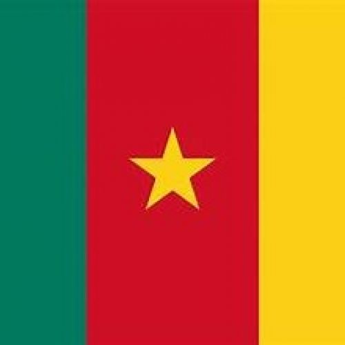 Service parent category