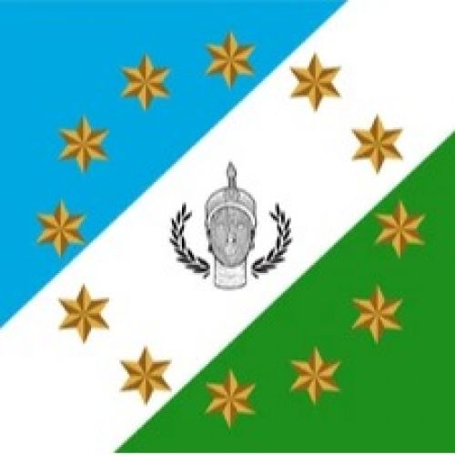 Service parent category