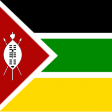 Service parent category