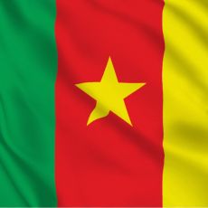 service parent category